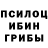 Псилоцибиновые грибы прущие грибы Krupko Mikhail