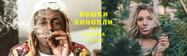 крисы Болохово