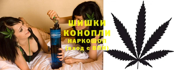 сатива Остров