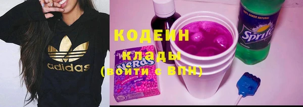 дурь Осташков