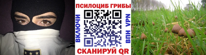 Псилоцибиновые грибы мухоморы  наркота  Шимановск 